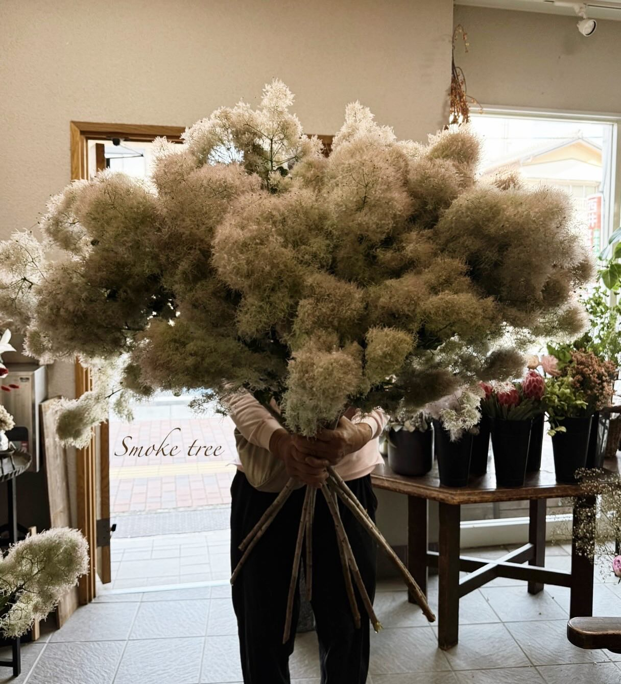 'スモークツリー'