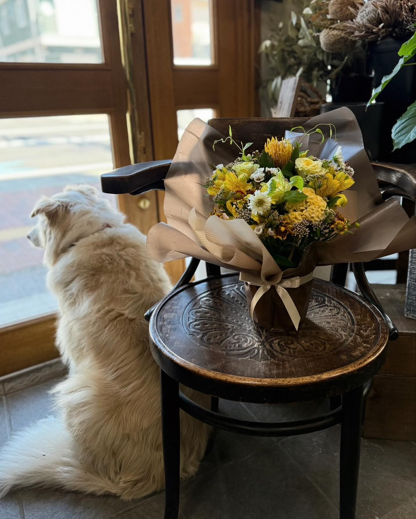 ふうちゃんとアレンジメントෆ˚*