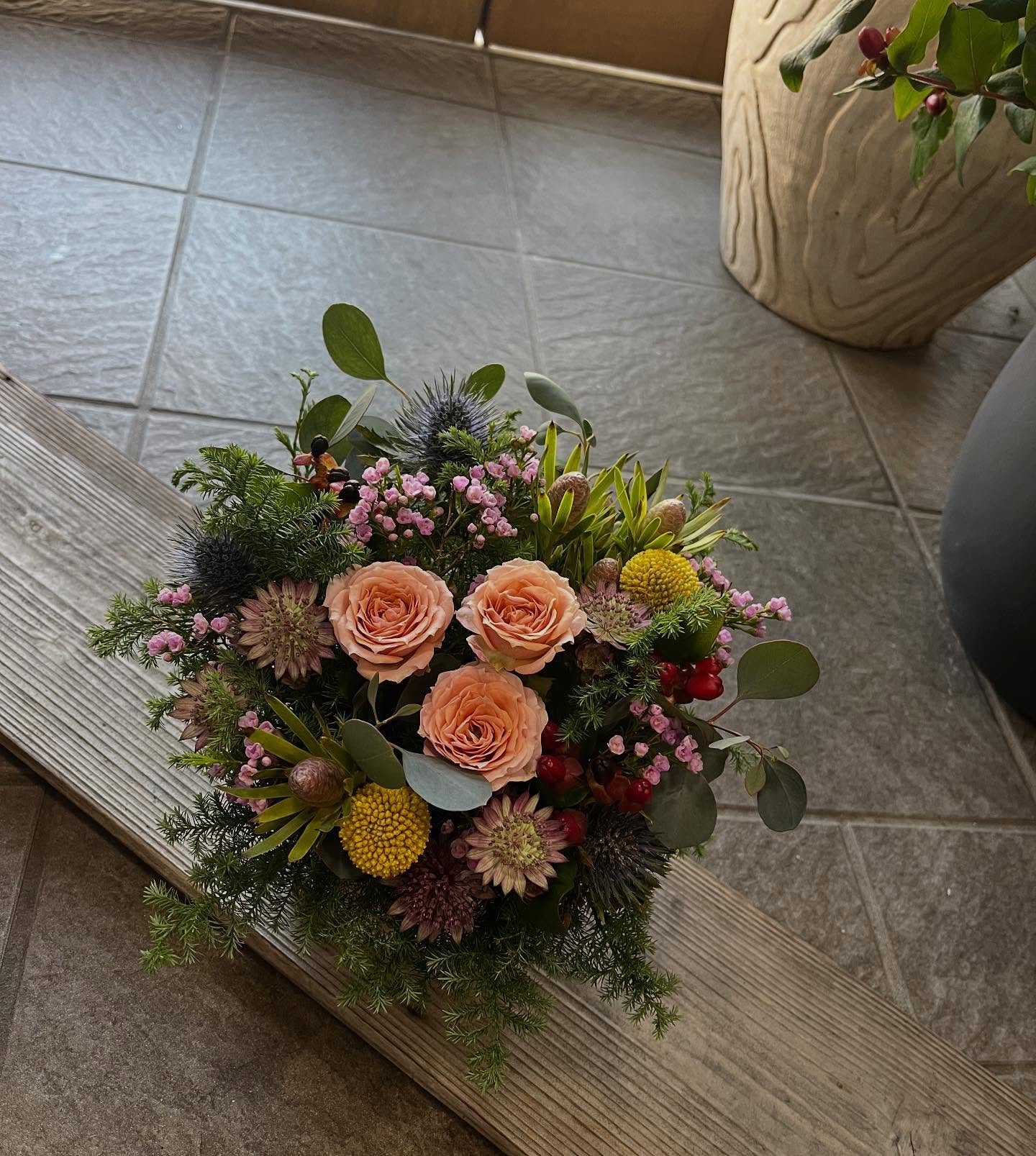 おはようございます🌞