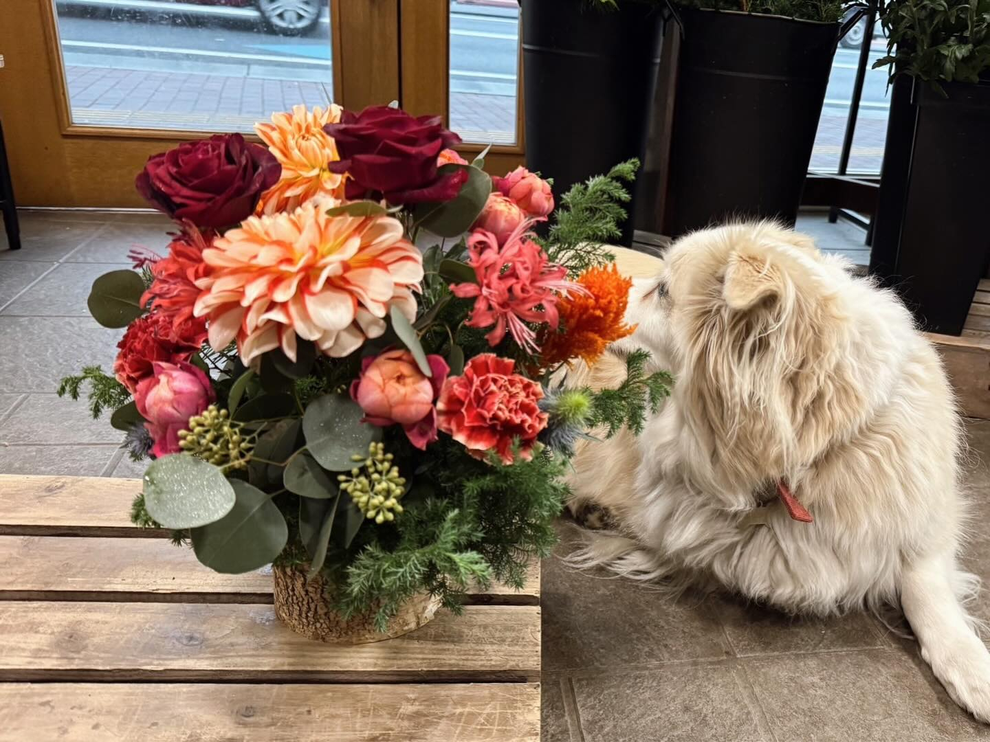 外の様子が気になるふうちゃんと