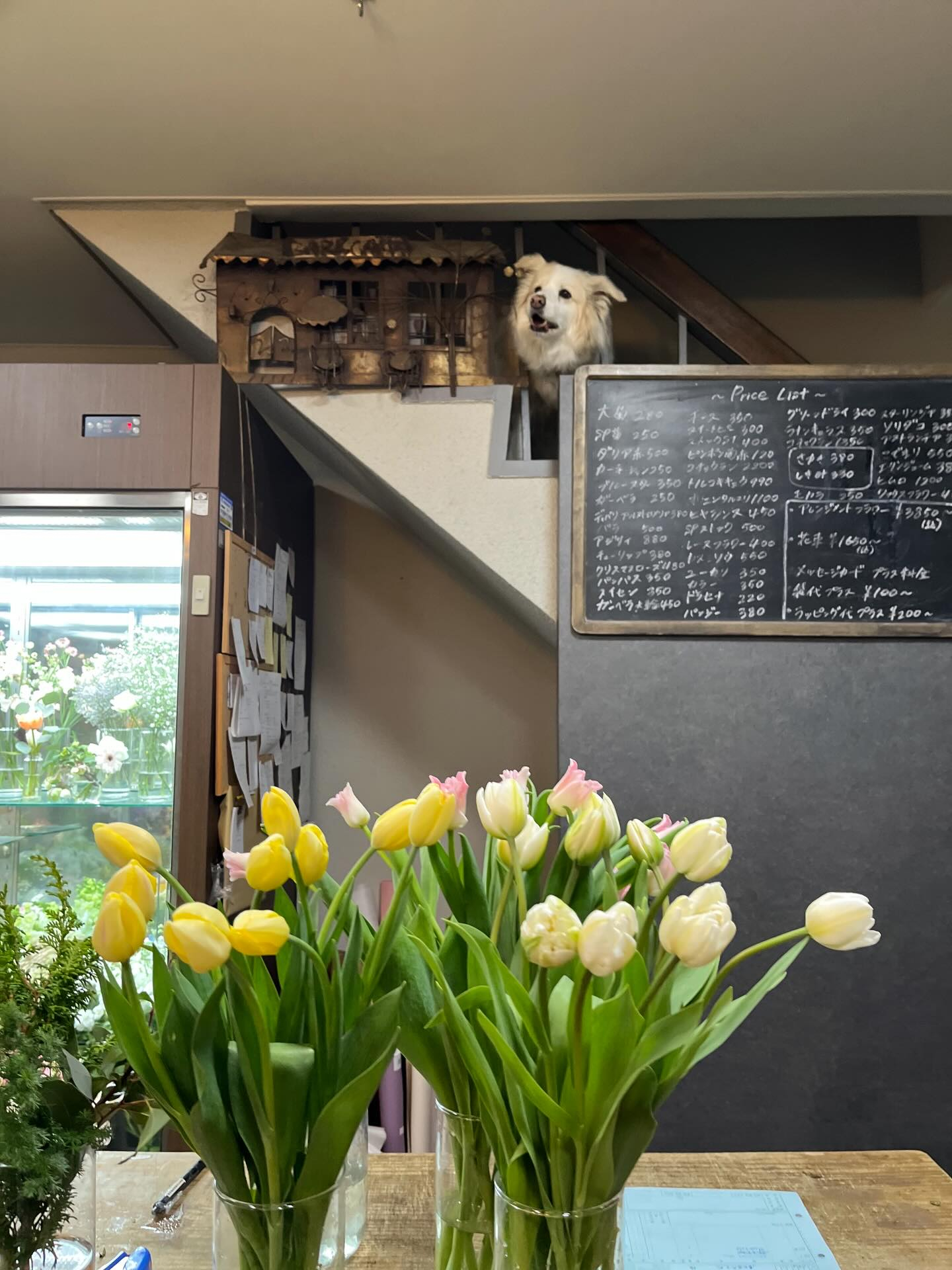 本日もたくさんのご予約ありがとうございました。