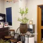 #伊勢市花屋 #伊勢市清水花店 #花のある暮らし #伊勢外宮...