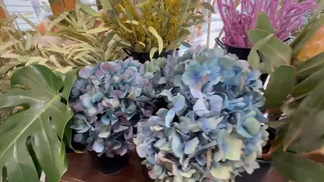 お店の模様替えをしました．