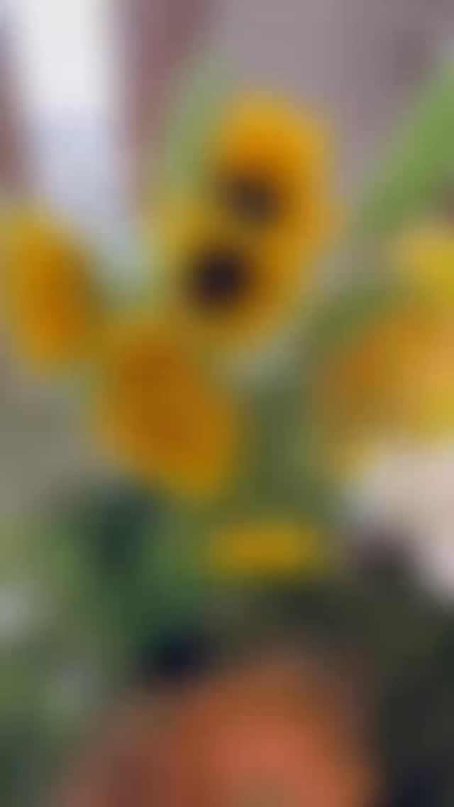 夏のお花を飾りませんか？