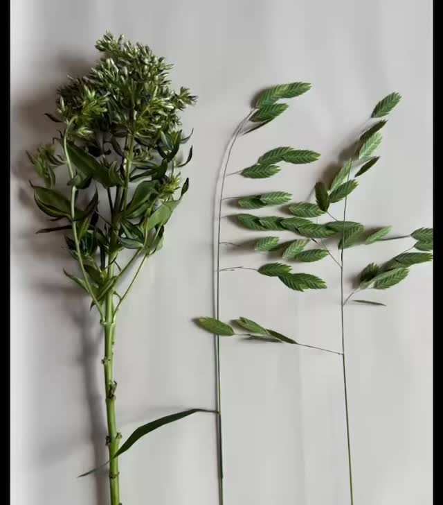 季節のお花などを飾ってお家の雰囲気を変えてみませんか𓂂𓏸