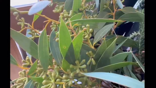 季節のお花も入ってます⟡.·