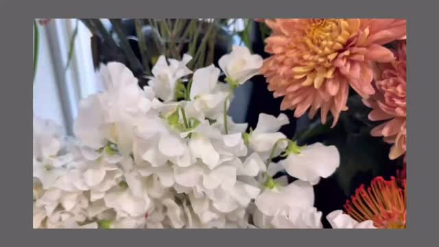 冬のお花⸜ ( ၴႅၴ⸝‍