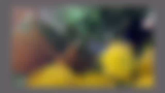 『お花、新入荷しました』